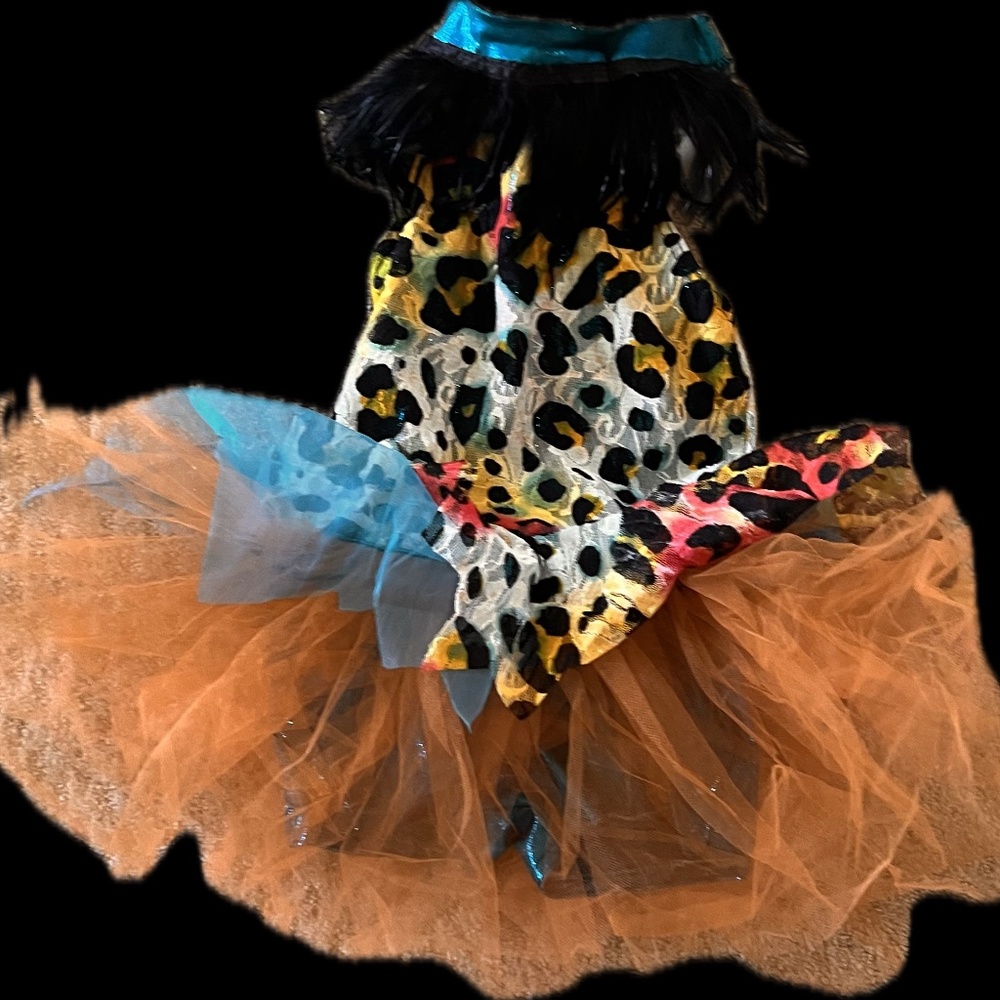 Dance costume circle of life girls